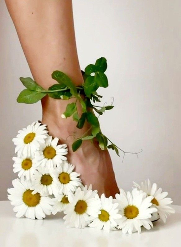 جلسة تفتيح جوزة القدم